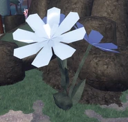 HarvestEvent2024Decor15.png (474 KB) Pale Blue Flower decor during Winter
