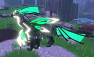 Glimmer Nindyr