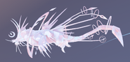 Pearl Nyxasolyx