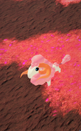 Previous Cottol in-game