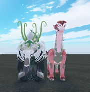 Size comparison with Maiueve, front view