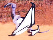 Juvenile Pterolythux