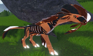 Old Smore Gloracus
