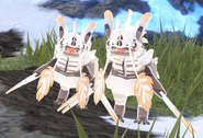 Dwarfism (left) and normal (right) Koini