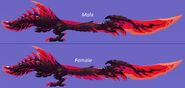 Dimorphism between male and female Zoltraack