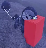 Cottol' hitbox