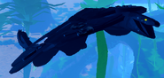 Melanistic Cupuere