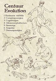 Origin Evolution of Centaurs.