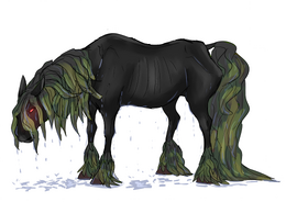 Kelpie | Creatures of myth Wiki | Fandom