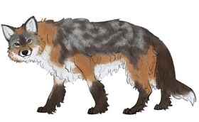 Wolffox