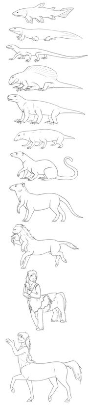 Origin Evolution of Centaurs 2.