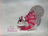 Bat-winged flying squirrel
