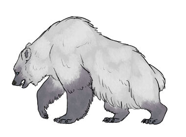 Bearwhite
