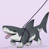 Great White sharkpup by Nekoamma