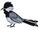 Gee-Gee Bird