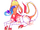 Crowned Clown Cat