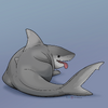 Pingers sharkpup by Nekoamma
