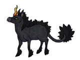 Nrocinus