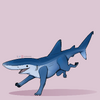 Blue sharkpup by Nekoamma