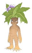 A male mandrake (by Mythologysleuth or Cyclone62)