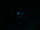 Cheshire Cat
