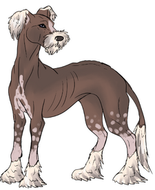 Qiqirn