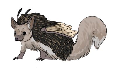 Hedgihog