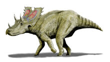 Agujaceratops BW