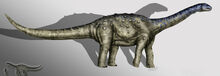 Aeolosaurus copia