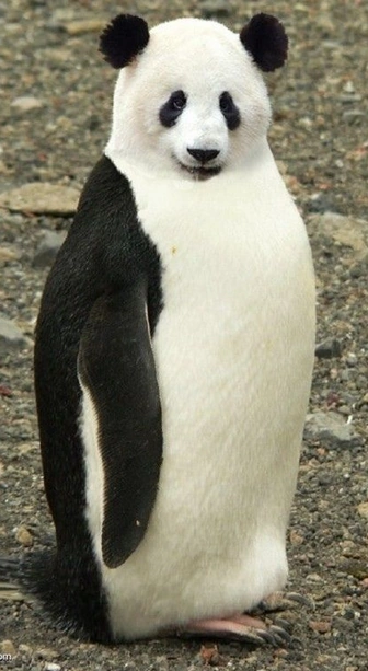 latest?cb=20150107004127