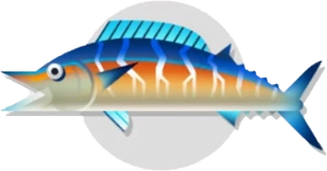 clipart wahoo