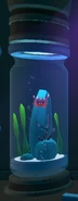 In aquarium
