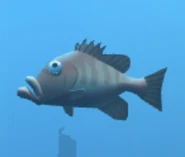 3D model seen in the aquarium