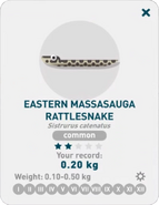 Eastern Massasauga Rattlesnake | Creatures of the Deep Wiki | Fandom