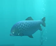 3D model seen in the aquarium