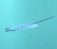 3D model seen in the aquarium