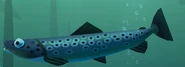 3D model seen in the aquarium