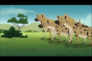 Wild Kratts