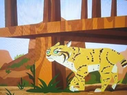 IMG 8560.jpg (3.08 MB) Wild Kratts