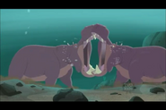 Hippopotamus.png (356 KB) Wild Kratts
