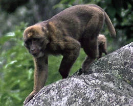 91f38e6e36e2b341be5ee3d5ee1c8d0f