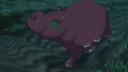 Hippopotamus-tarzan.jpg (215 KB) Tarzan (1999)