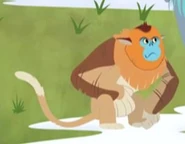 Wild Kratts