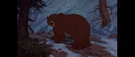 Brother Bear