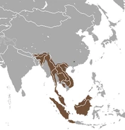 220px-Binturong area.png (36 KB) Binturong Range