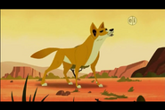 Dingo (Wild Kratts).png (434 KB) Wild Kratts