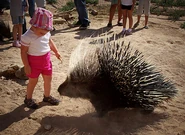 Don't Get Too Close!