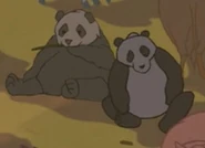 Fantasia 2000 (1999)