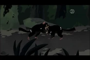 Tasmanian Devil (Wild Kratts).png (275 KB) Wild Kratts