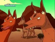 TWT Dingos.jpg (30 KB) The Wild Thornberrys
